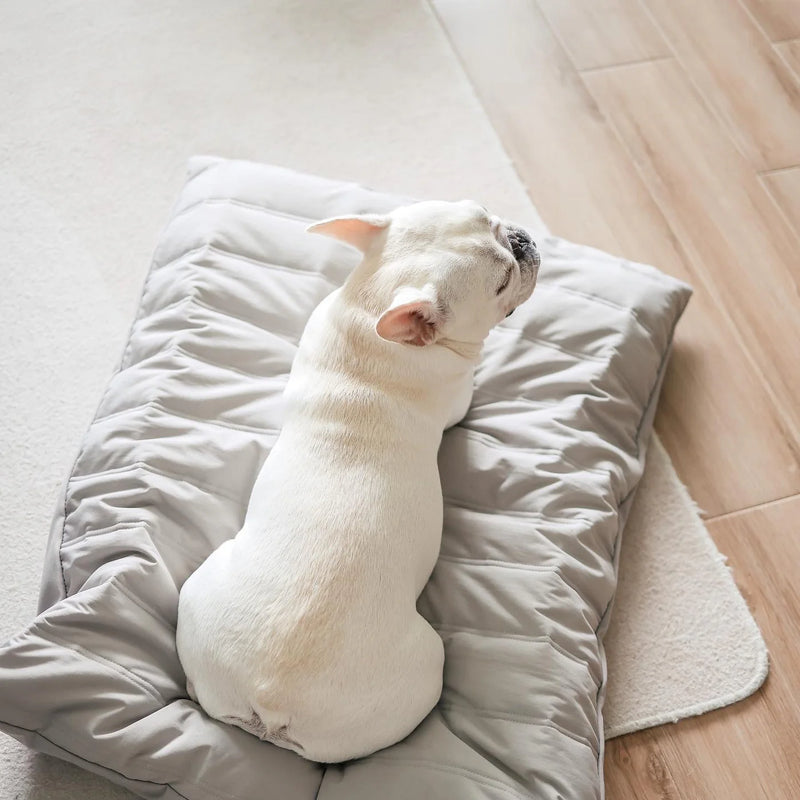 SP - Water-Resistant Low Rise Reversible Dog Bed