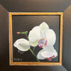 HH Orchid framed