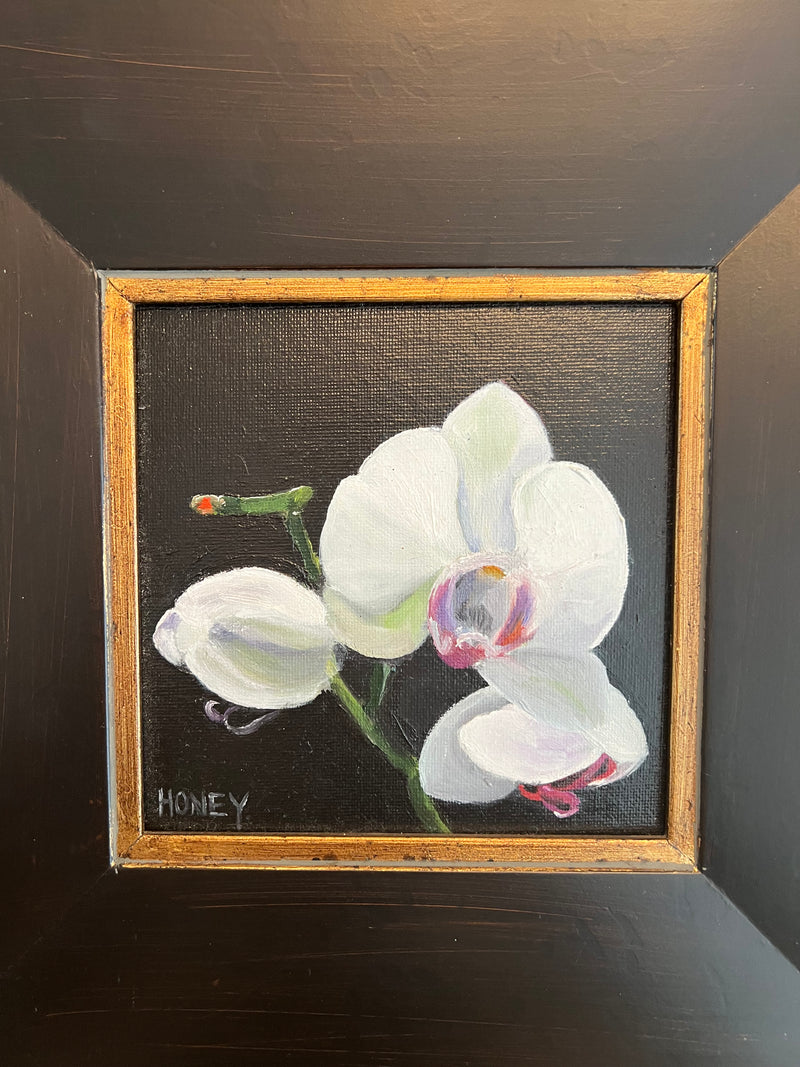 HH Orchid framed