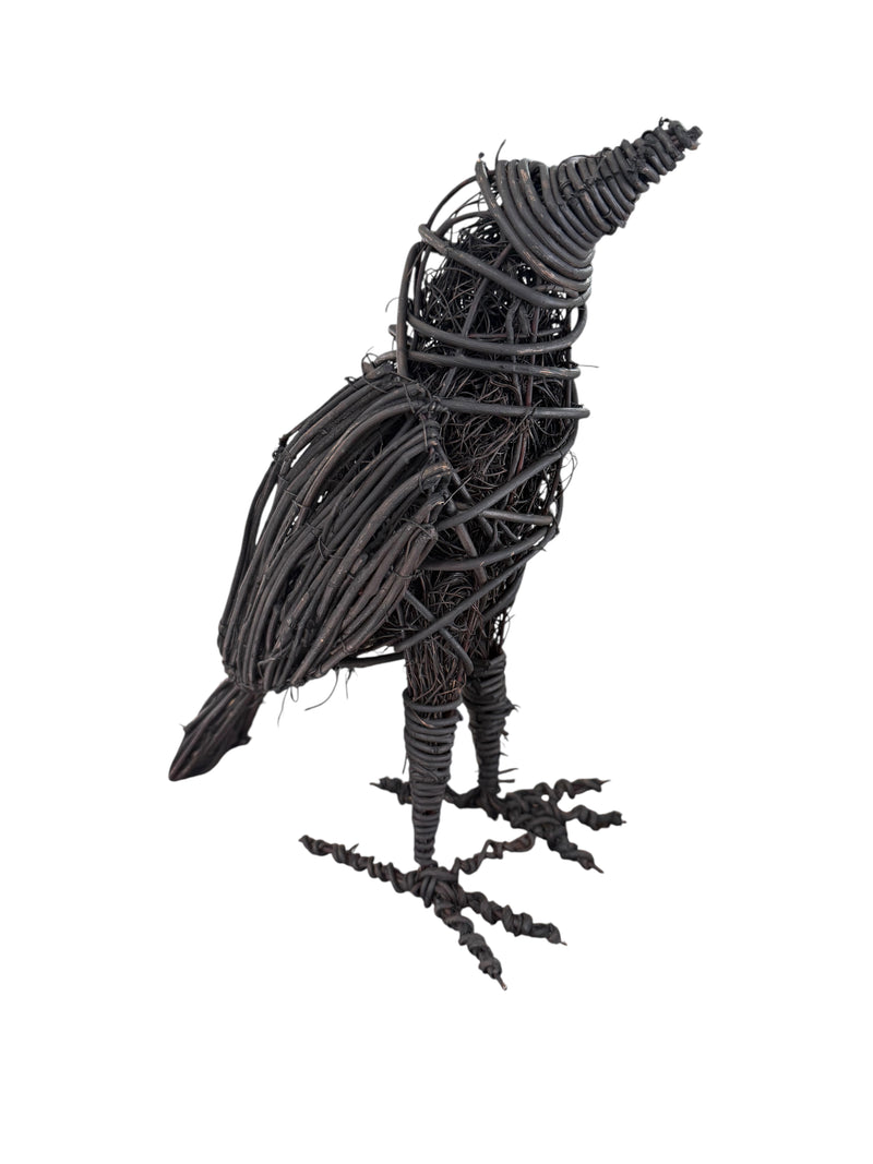 NS Black Crow