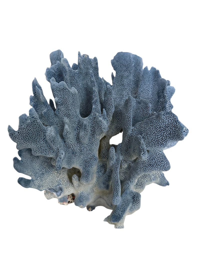 NS Blue Coral Large