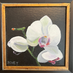 HH Orchid framed