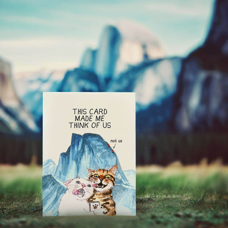SP - Adventure Cats Card