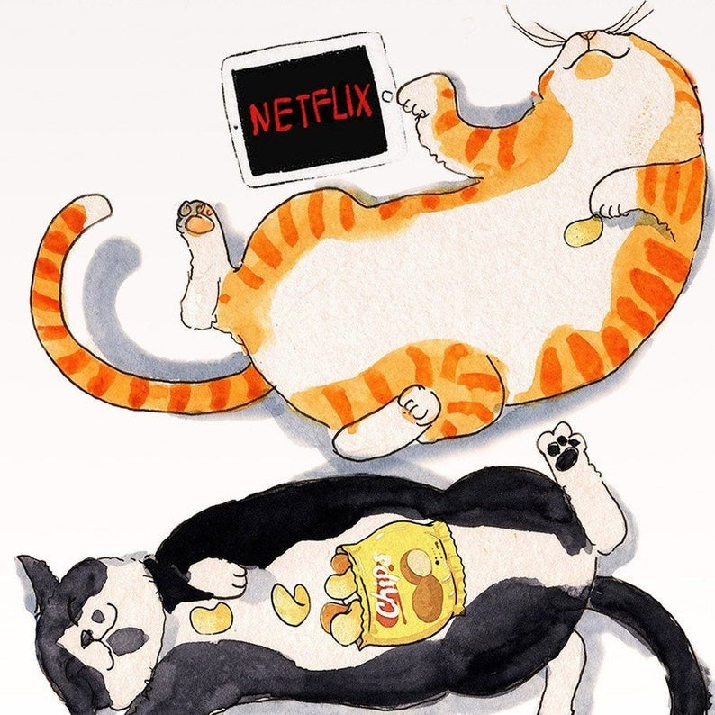 SP - Netflix & Chill Cats Card