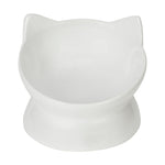 SP - Tilted Cat Dish