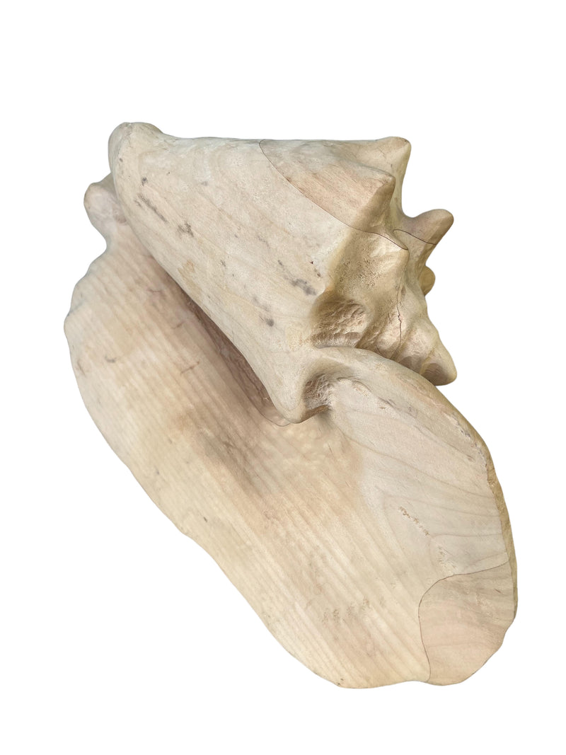 NS Wood Conch Shell