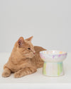 SP - Iridescent Ceramic Cat Bowl