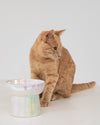 SP - Iridescent Ceramic Cat Bowl