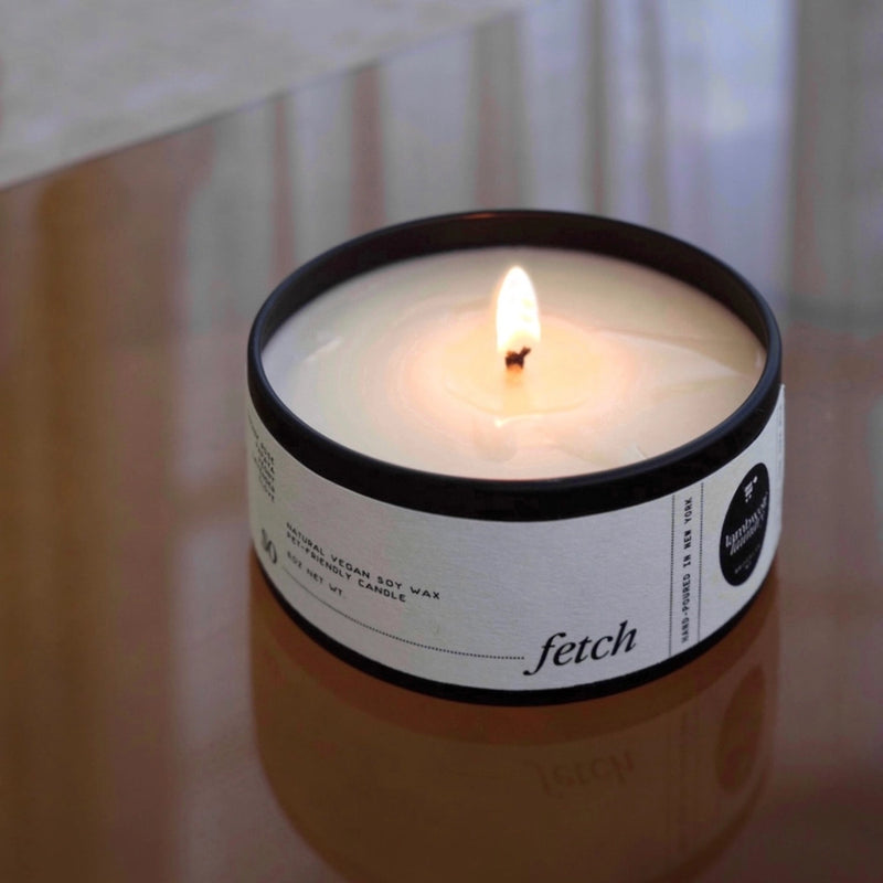 So Fetch - Soy Candle - Pet Friendly