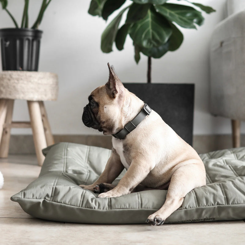 SP - Water-Resistant Low Rise Reversible Dog Bed