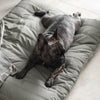 SP - Water-Resistant Low Rise Reversible Dog Bed