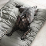 SP - Water-Resistant Low Rise Reversible Dog Bed