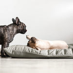 SP - Water-Resistant Low Rise Reversible Dog Bed