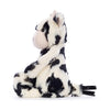 BA - Bashful Calf