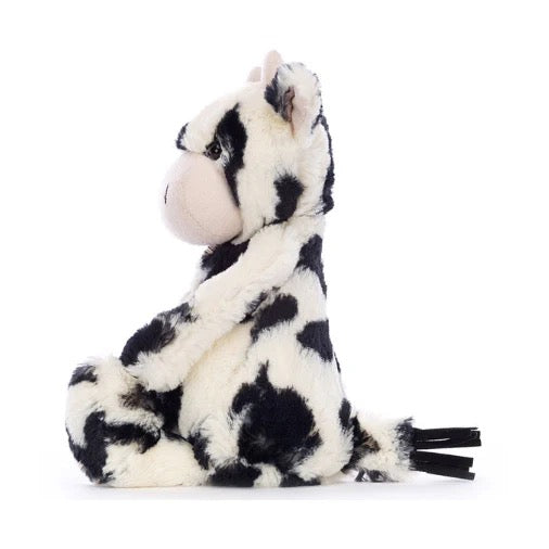 BA - Bashful Calf
