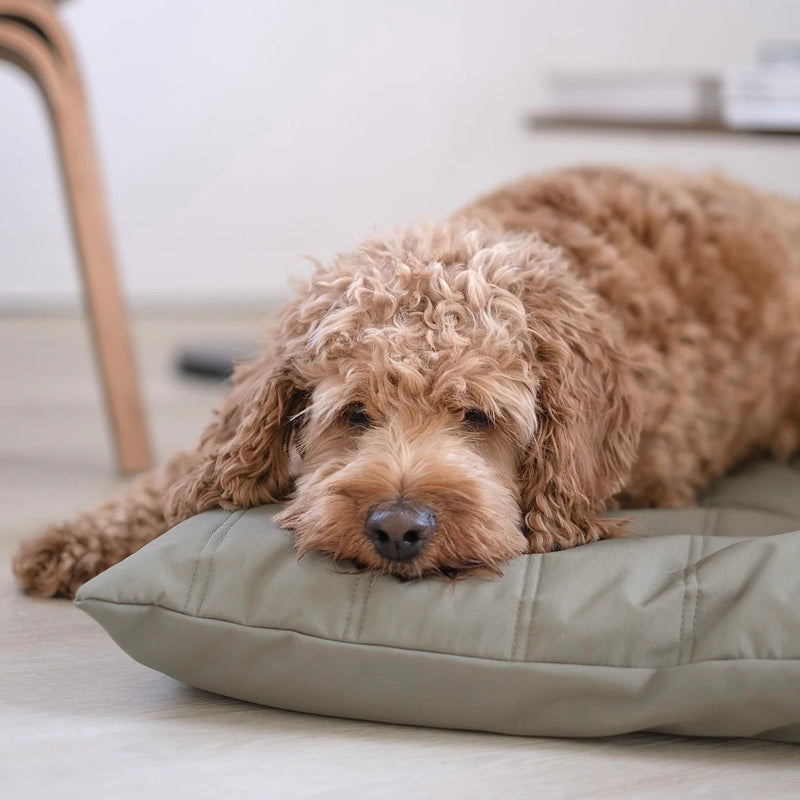 SP - Water-Resistant Low Rise Reversible Dog Bed