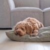 SP - Water-Resistant Low Rise Reversible Dog Bed