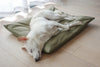 Maatin Dog Bed