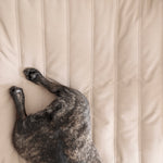 SP - Maatin Dog Bed