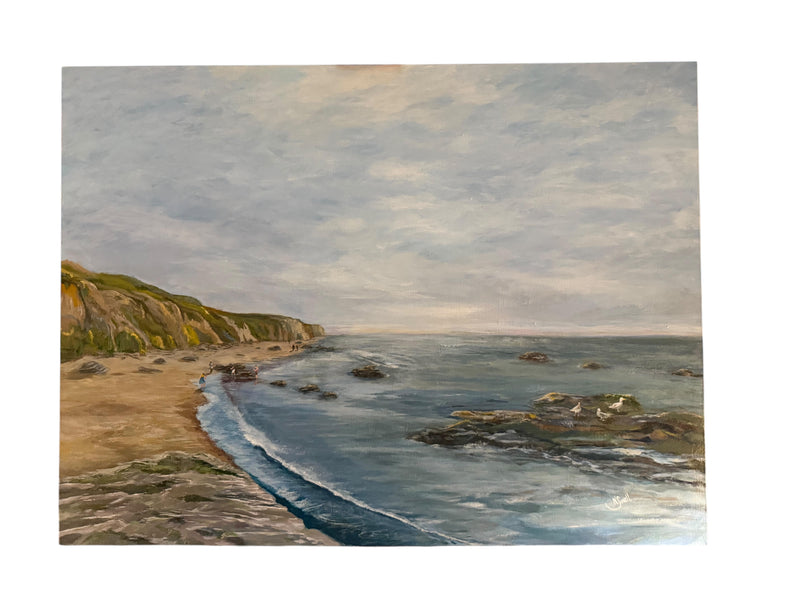 NSFA Original Painting “On the Rocks at Crystal Cove”