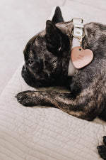 SP - Handmade Leather Dog Tag
