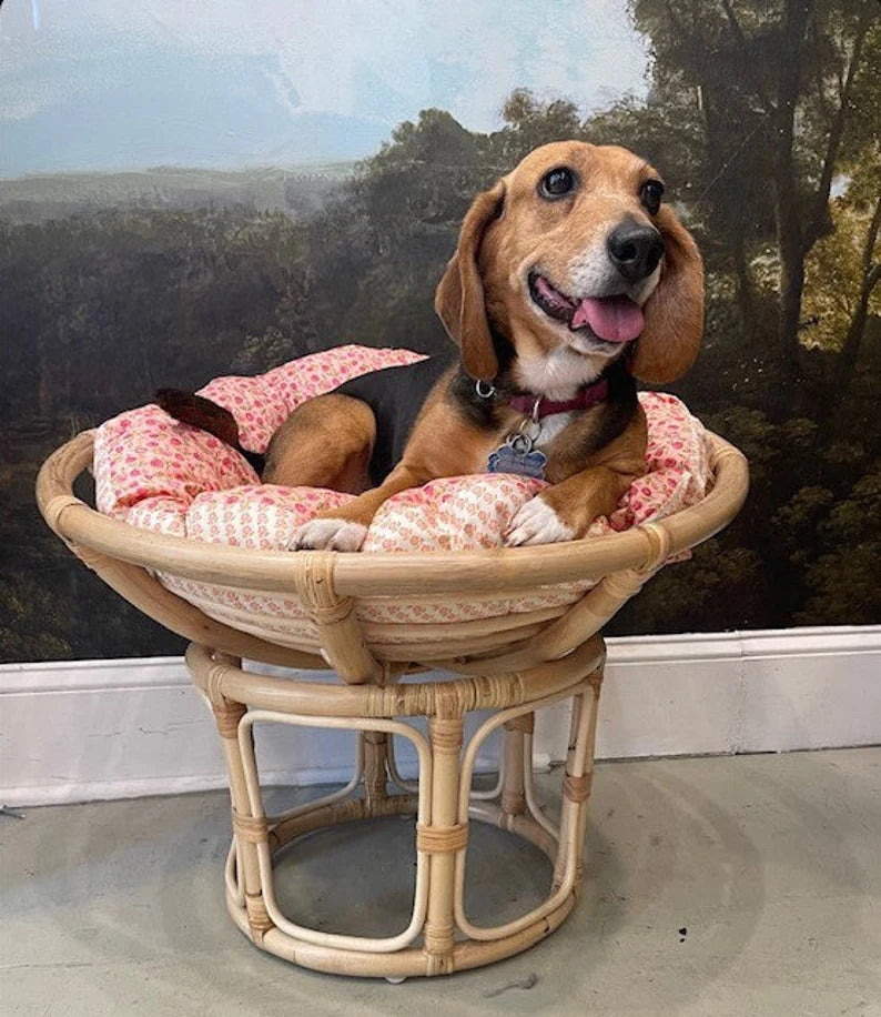 SP Rattan Pet Bed Papasan Chair – Seaside Gallery and Goods