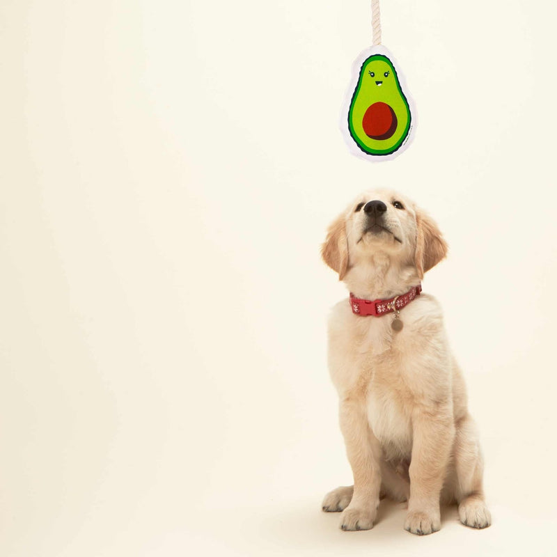 SP - Avocado Dog Toy
