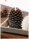 Brown Pine Cone - 5" Realistic Flame Led Lit Candle