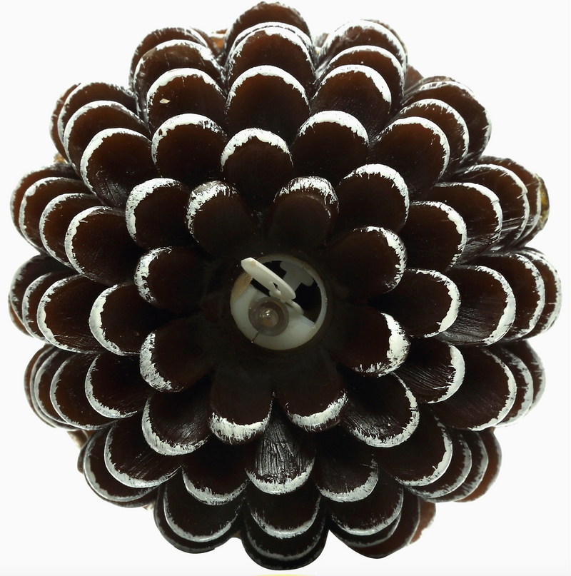 Brown Pine Cone - 5" Realistic Flame Led Lit Candle