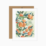 D Jessica Frasz Studio greeting cards