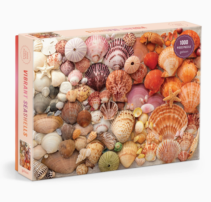 D Vibrant Seashells 1000 piece puzzle