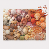 D Vibrant Seashells 1000 piece puzzle