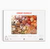 D Vibrant Seashells 1000 piece puzzle