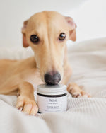 SP - Cloud Balm: Nose, Paw & Skin Treatment for Dogs