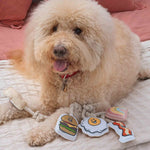 SP | Mini Dog Toy Set - Vacation!