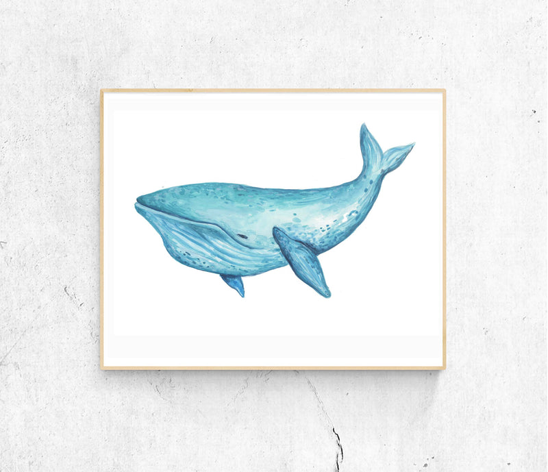 BA- Teal Whale