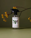 Koala Eco - Natural Peppermint Eco Glass Cleaner