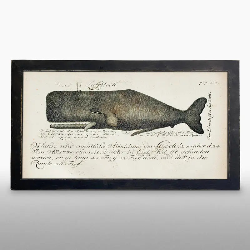 TL GB Whale Print