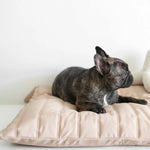 SP - Water-Resistant Low Rise Reversible Dog Bed