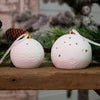 White Ceramic Bisque Light-Up Ornaments