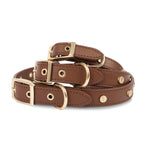 SP - Statement Stud Leather Collar