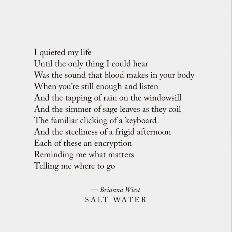 D Salt Water Book