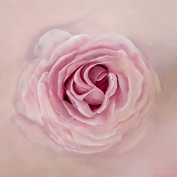 BC Pink Rose by Joani Clayton