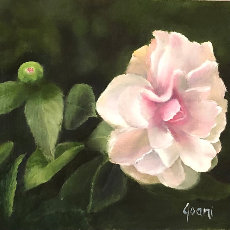 BC My Camellia by Joani Clayton